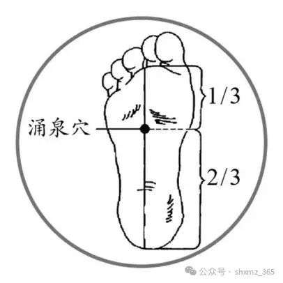 微信图片_20250213090109.jpg