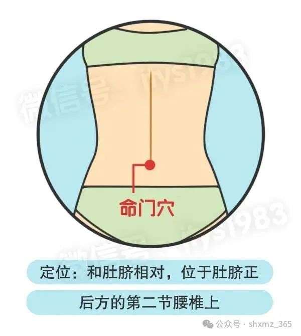 微信图片_20250213090208.jpg