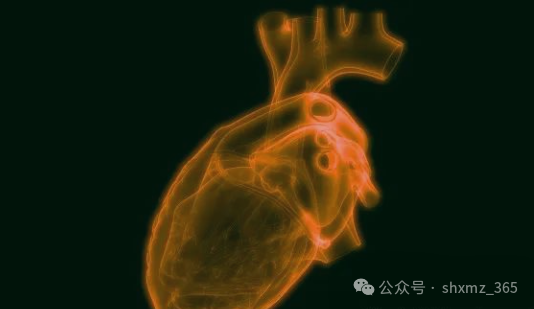 微信图片_20250214102817.png
