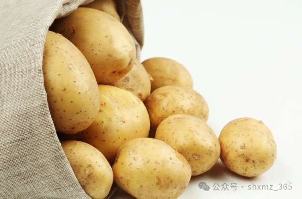 微信图片_20250214143104.jpg