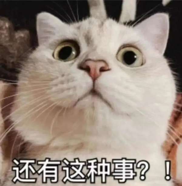 微信图片_20250217085642.jpg