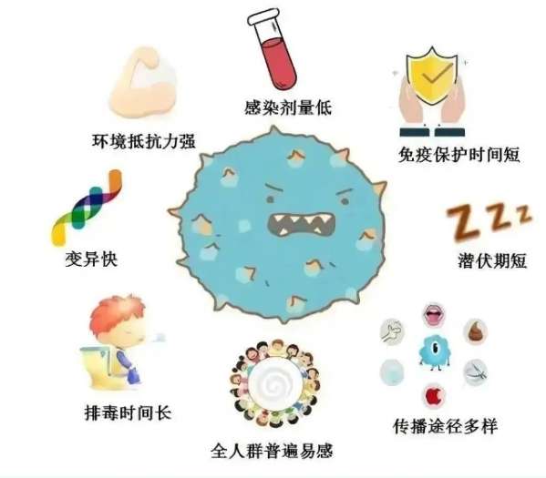 微信截图_20250217090725.png