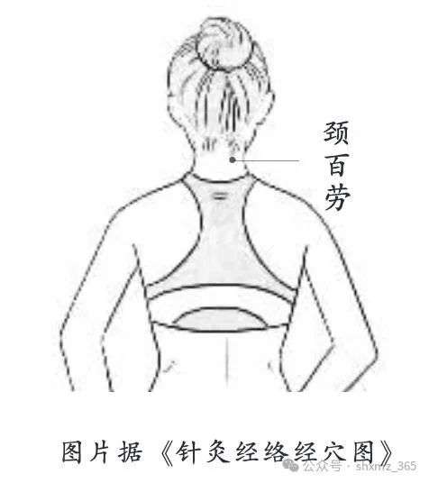 微信图片_20250220091558.jpg