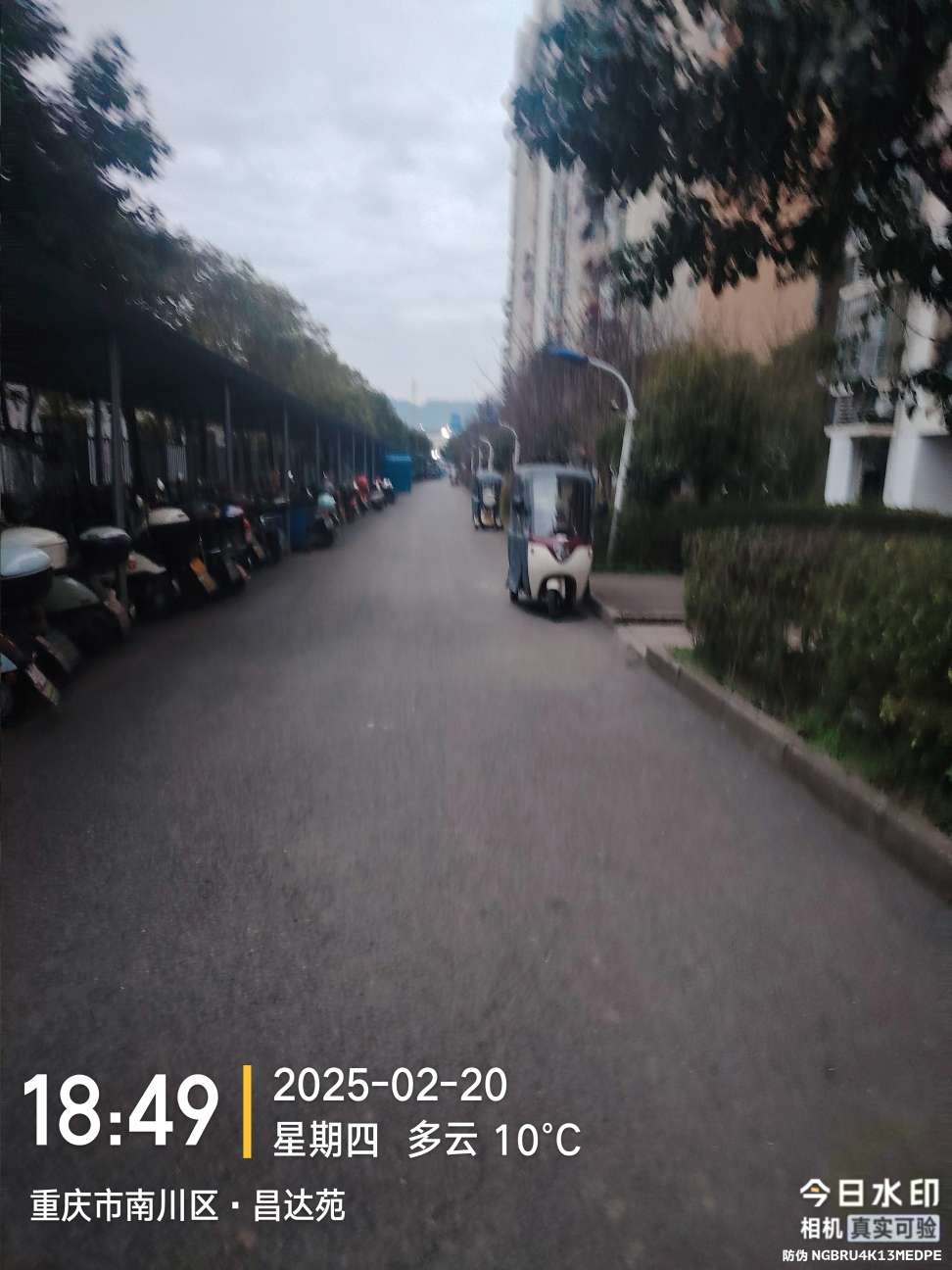 20250220192042front2_0_420715_FtKIRID7tCA72yS0D_NP81RjfGEP.jpg