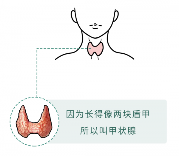 微信图片_20250221084933.png