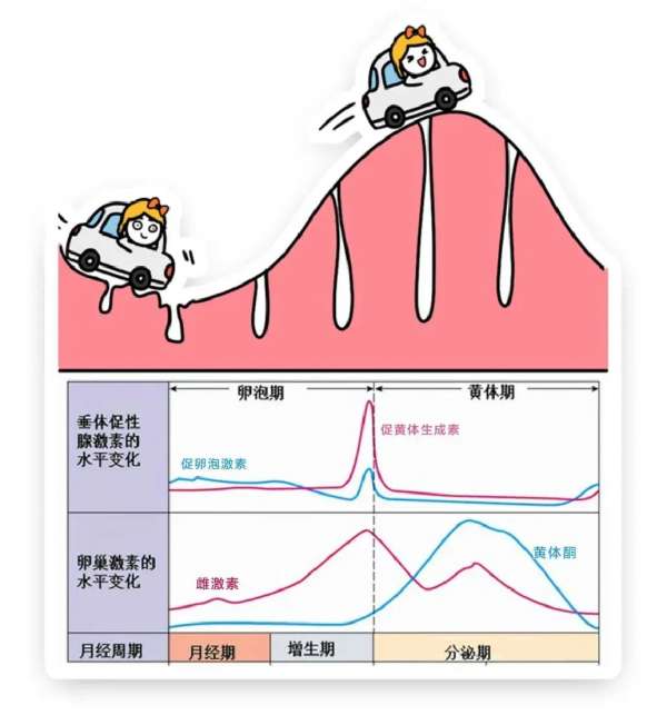 微信图片_20250221085024.jpg