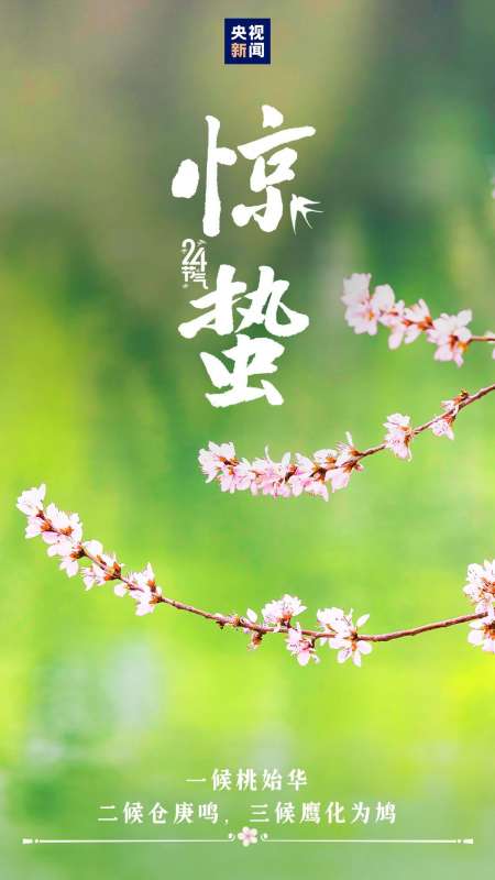 微信图片_20250305083546.jpg