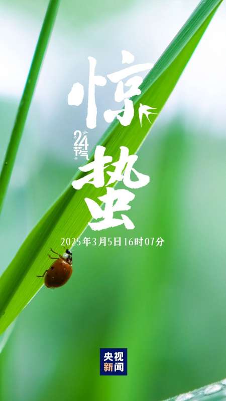 微信图片_20250305083541.jpg