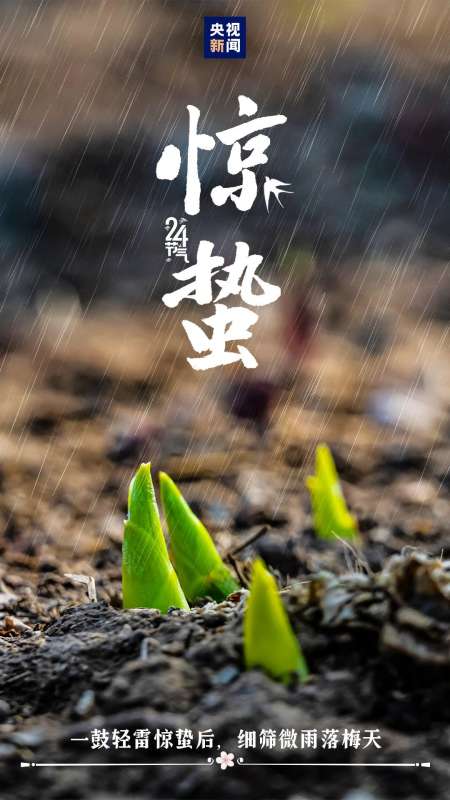 微信图片_20250305083602.jpg