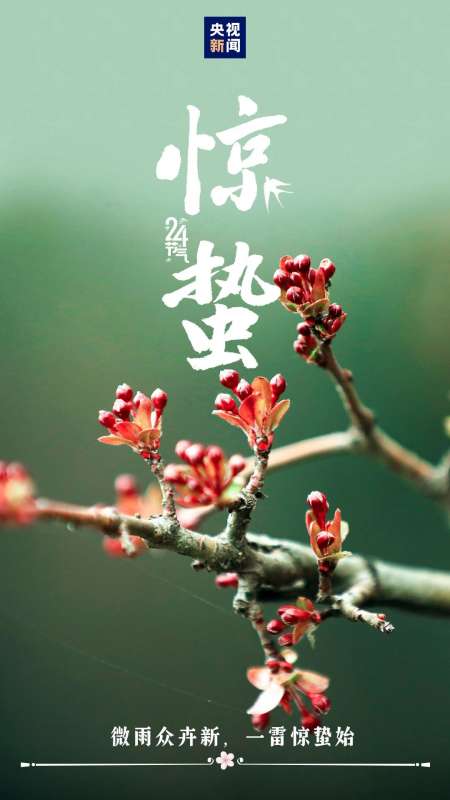 微信图片_20250305083607.jpg