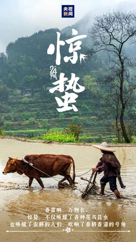 微信图片_20250305083557.jpg