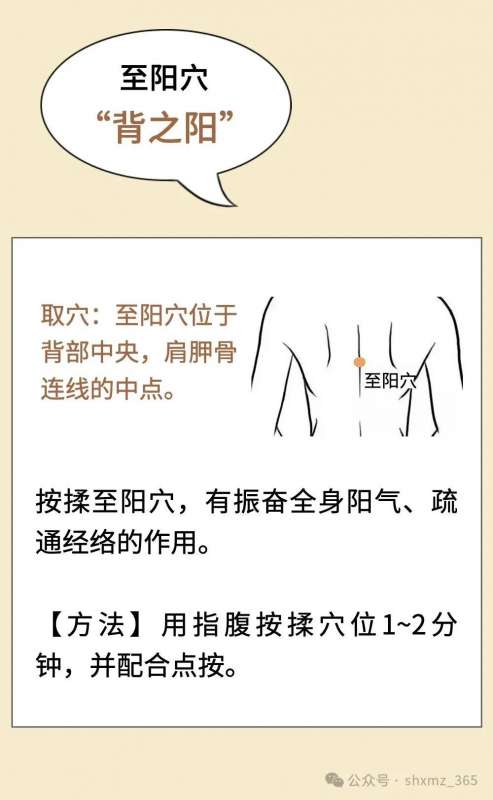 微信图片_20250305142415.jpg