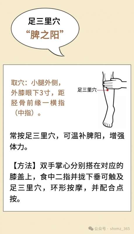 微信图片_20250305142424.jpg