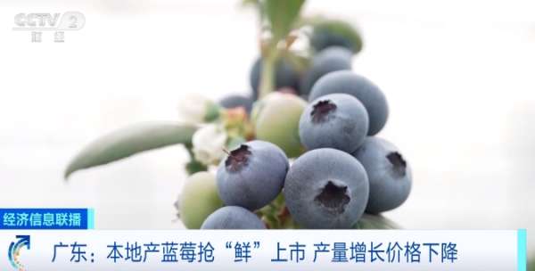 微信截图_20250307084901.png