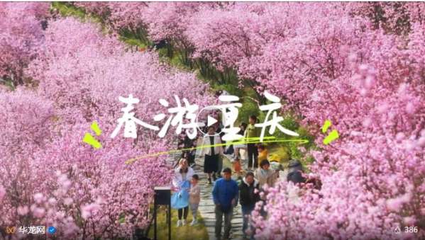 微信截图_20250307143650.png
