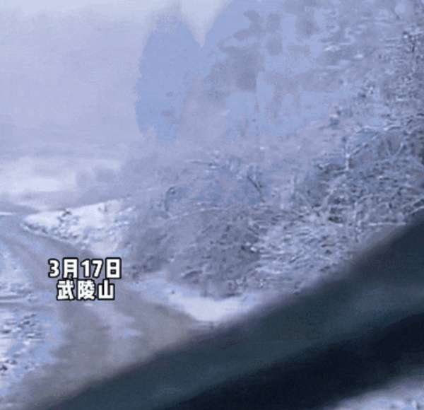 微信截图_20250318084737.png