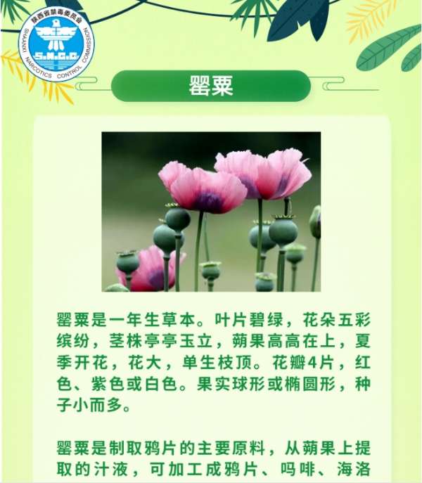 微信截图_20250325084255.png