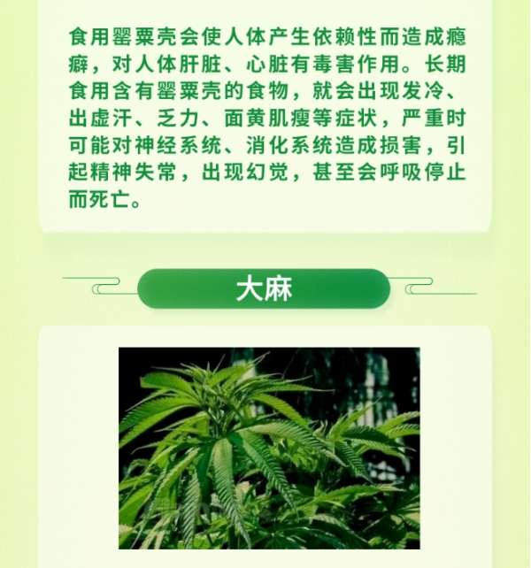 微信截图_20250325084308.png