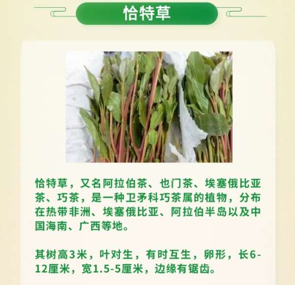 微信截图_20250325084346.png