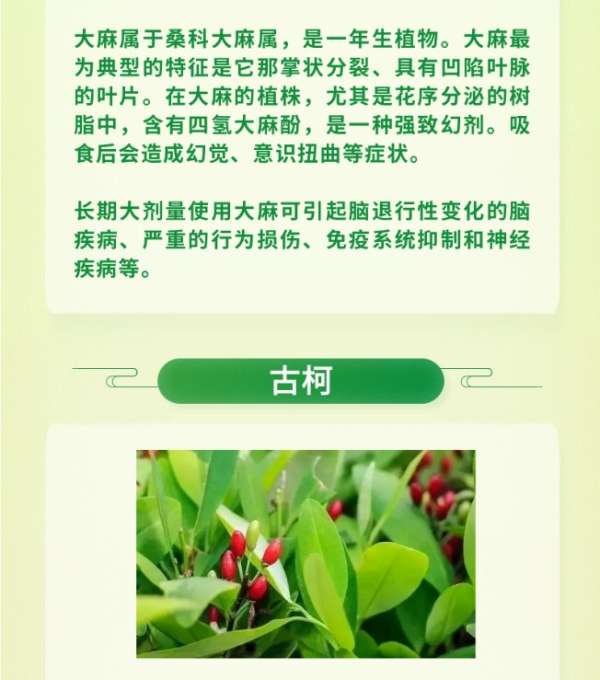 微信截图_20250325084319.png