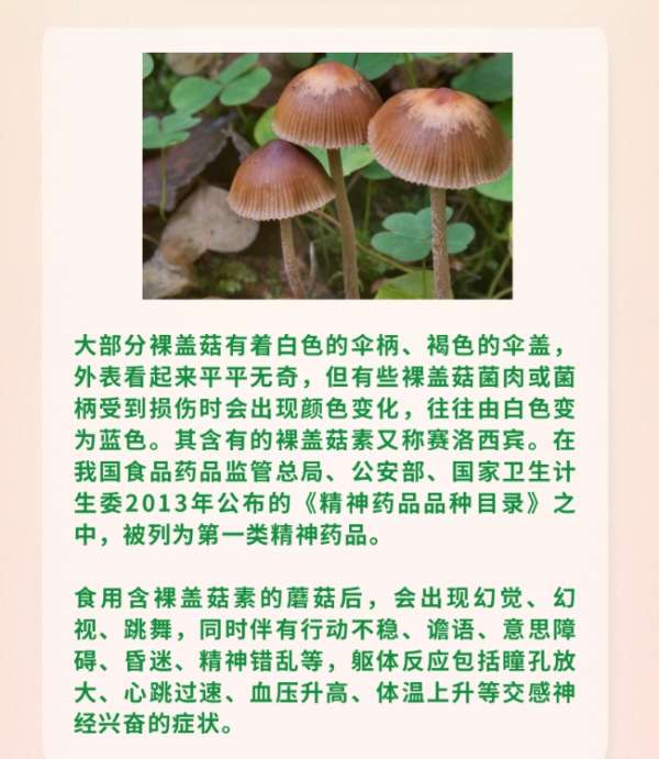 微信截图_20250325084408.png