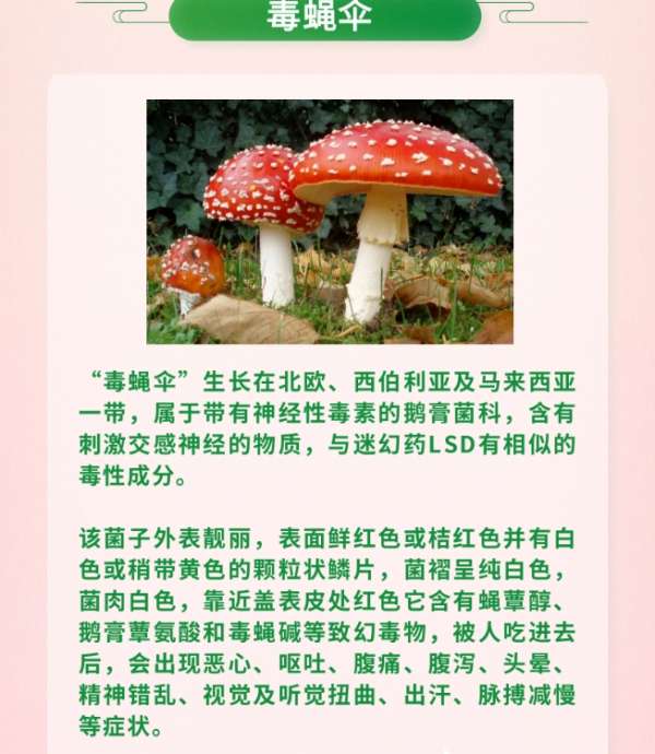 微信截图_20250325084418.png