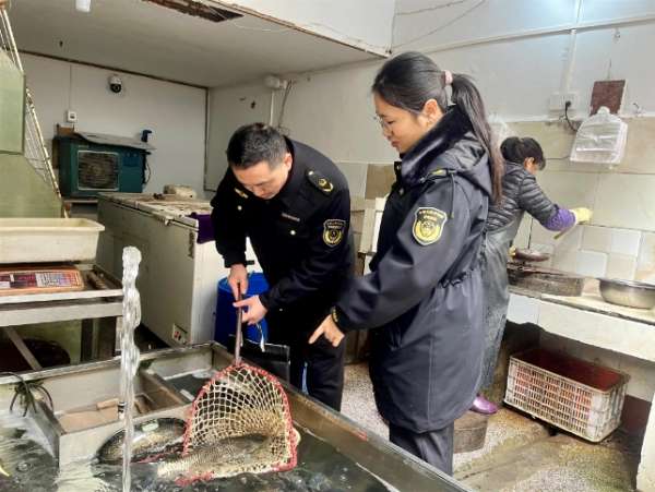微信截图_20250401085117.png