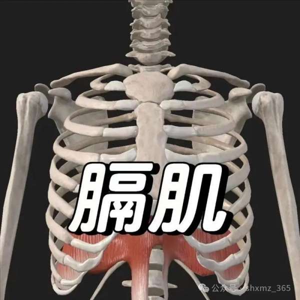 微信图片_20250402145934.jpg