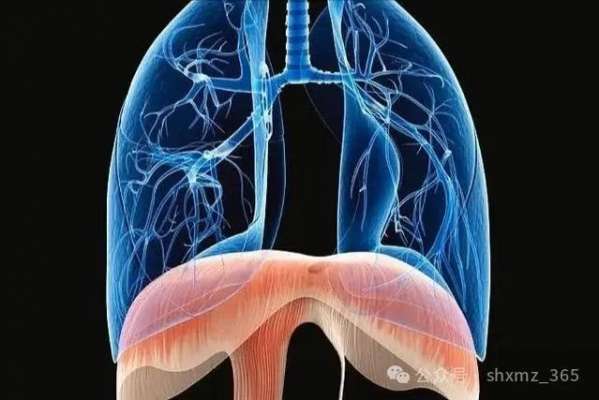 微信图片_20250402150124.jpg