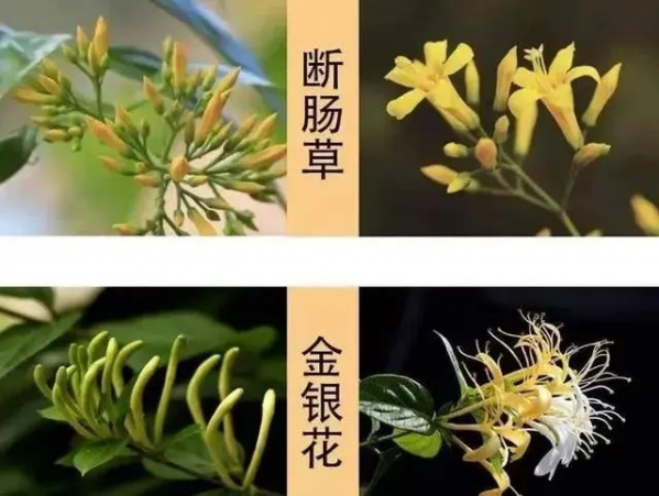 微信图片_20250407090908.png