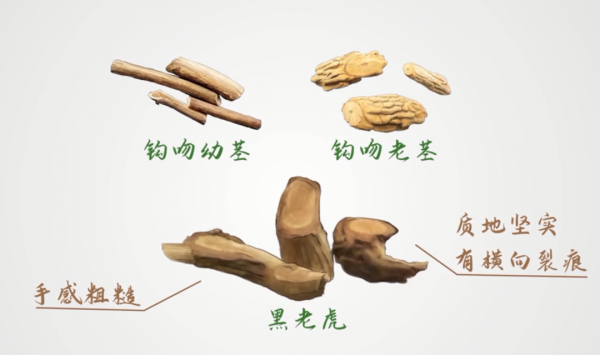 微信图片_20250407090943.png