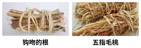 微信图片_20250407091011.png
