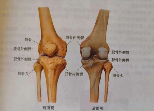 微信图片_20250409083811.jpg