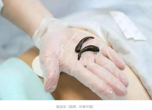 微信截图_20250411085925.png