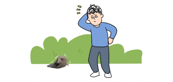 微信图片_20250415142821.png