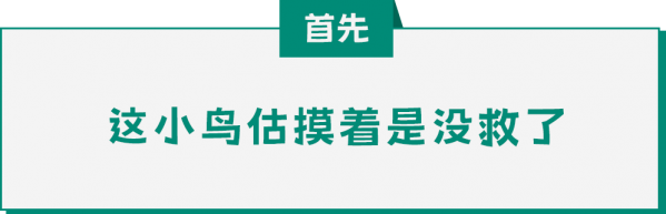 微信图片_20250415142932.png
