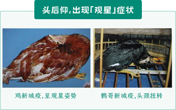 微信图片_20250415142952.png
