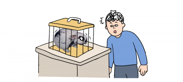 微信图片_20250415143225.png
