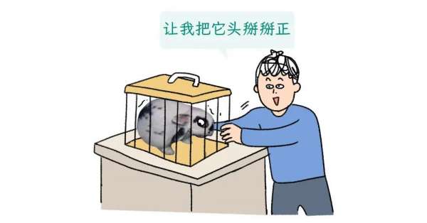 微信图片_20250415143247.jpg