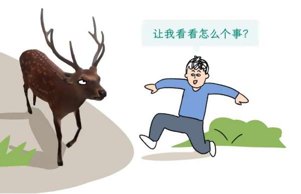 微信图片_20250415143430.jpg