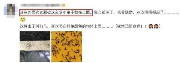 微信图片_20250425084743.jpg