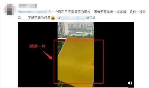微信图片_20250425084926.jpg
