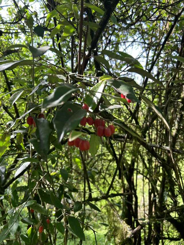20250502233803front2_0_414099_Ftzk6WsF00b6GG27xgwfVDPEamA-.jpg
