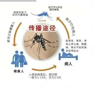微信截图_20250506151240.png