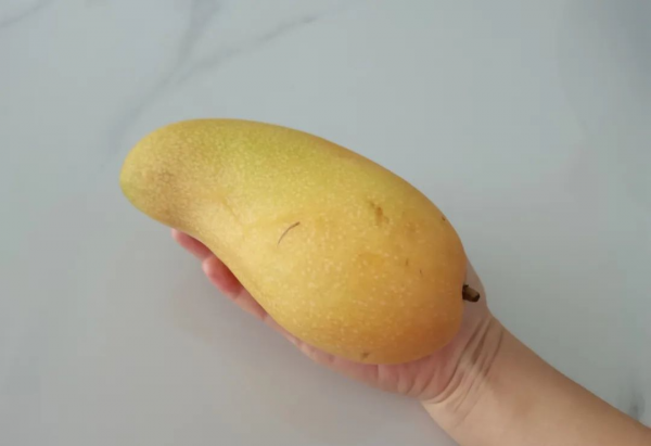 微信图片_20250508090446.png