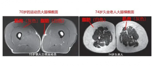 微信图片_20250509083347.png
