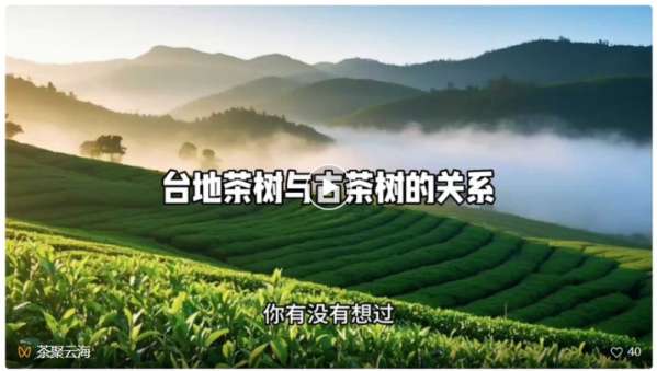 1_副本.jpg