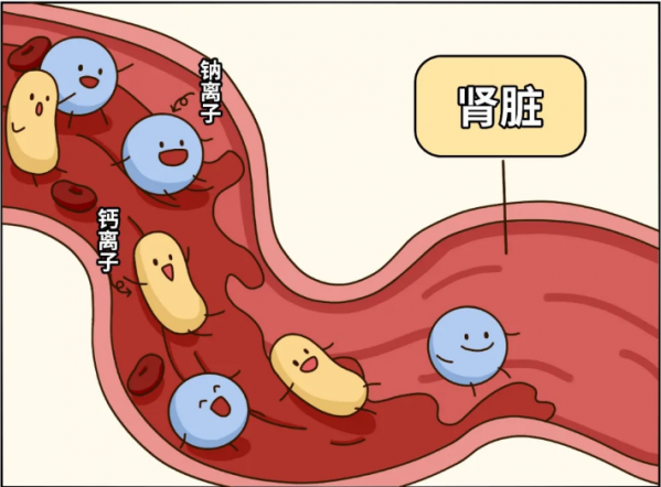 微信图片_20250527083759.png
