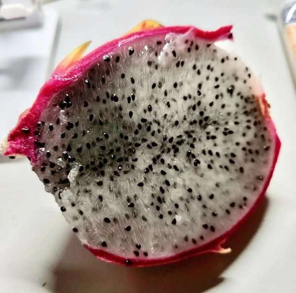 微信图片_20250603084128.jpg