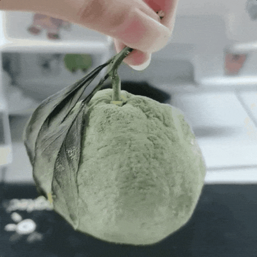 微信图片_20250603084225.gif